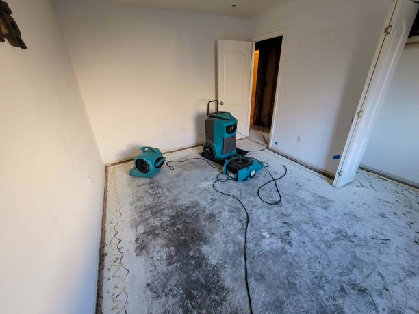 Best Local water damage restoration  in Cascade Chipita Park, CO