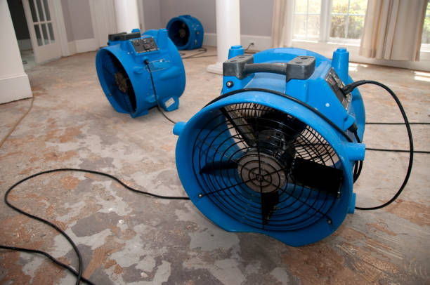 Best Basement water damage restoration  in Cascade Chipita Park, CO