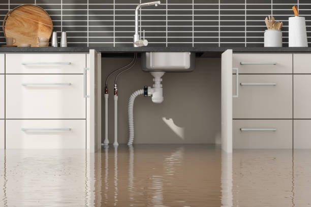 Best Residential water damage restoration  in Cascade Chipita Park, CO