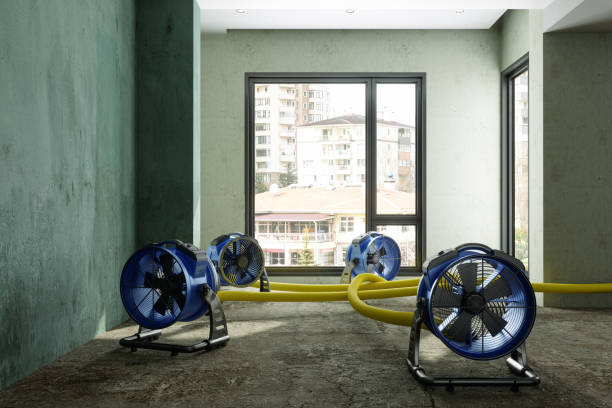 Best Carpet water damage restoration  in Cascade Chipita Park, CO