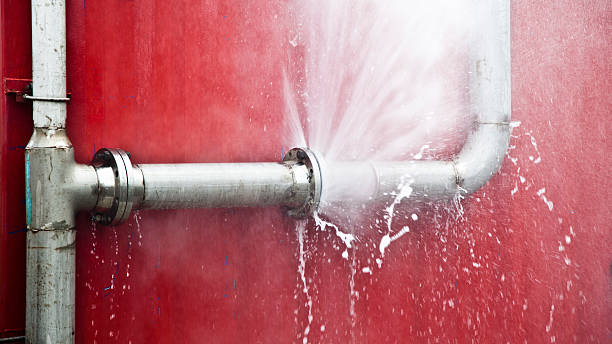 Best Sewage cleanup and water damage restoration  in Cascade Chipita Park, CO