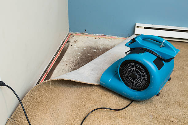 Best Water damage cleanup near me  in Cascade Chipita Park, CO